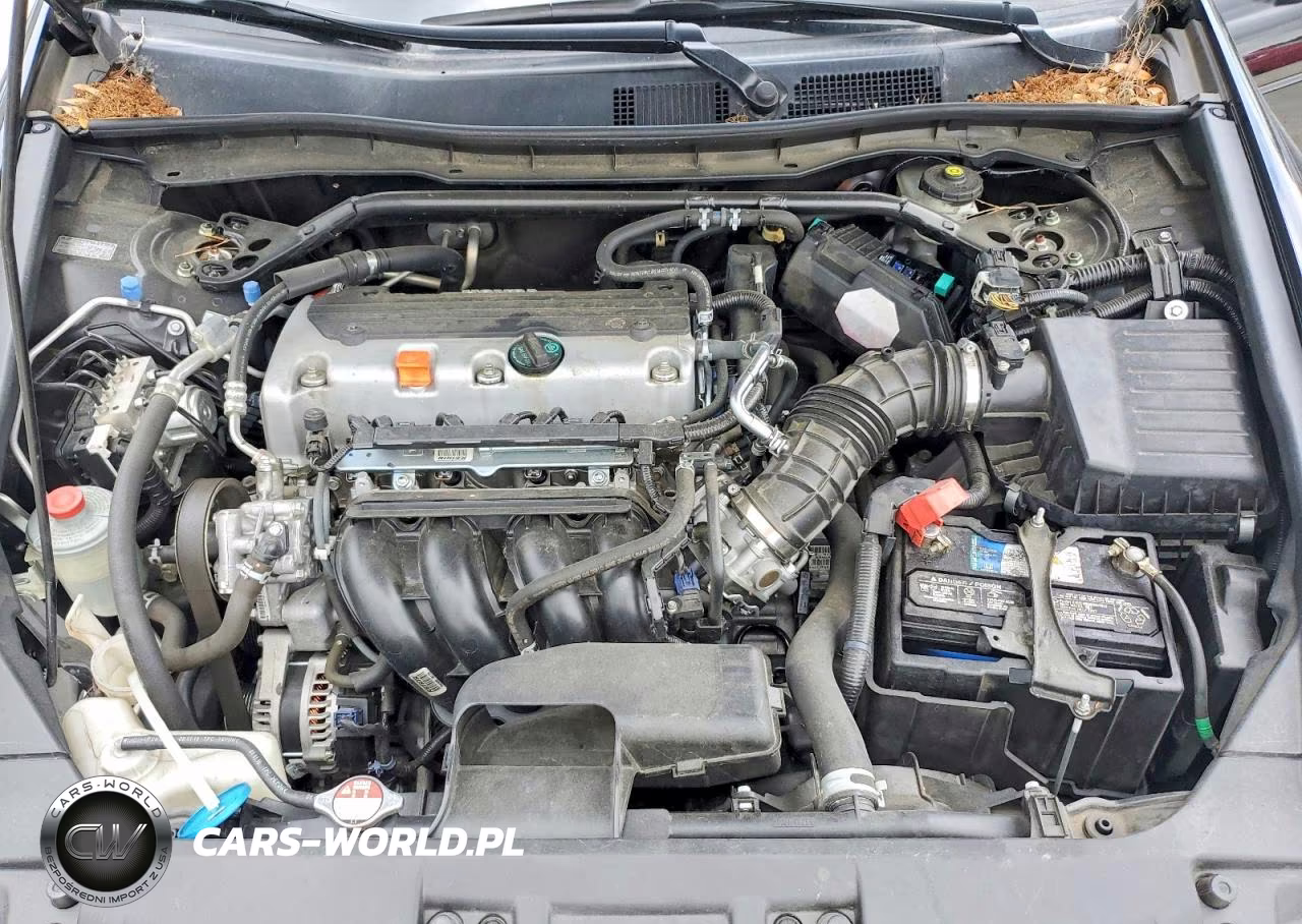 2010 Honda Accord Exl VIN:1HGCP2F8XAA148803 - 11