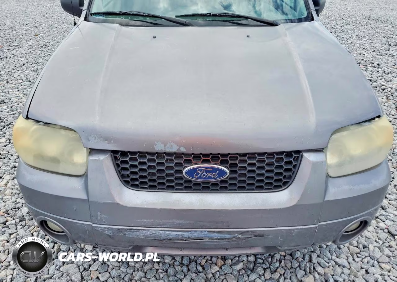 2007 Ford Escape Xlt VIN:1FMYU03117KB68641 - 11
