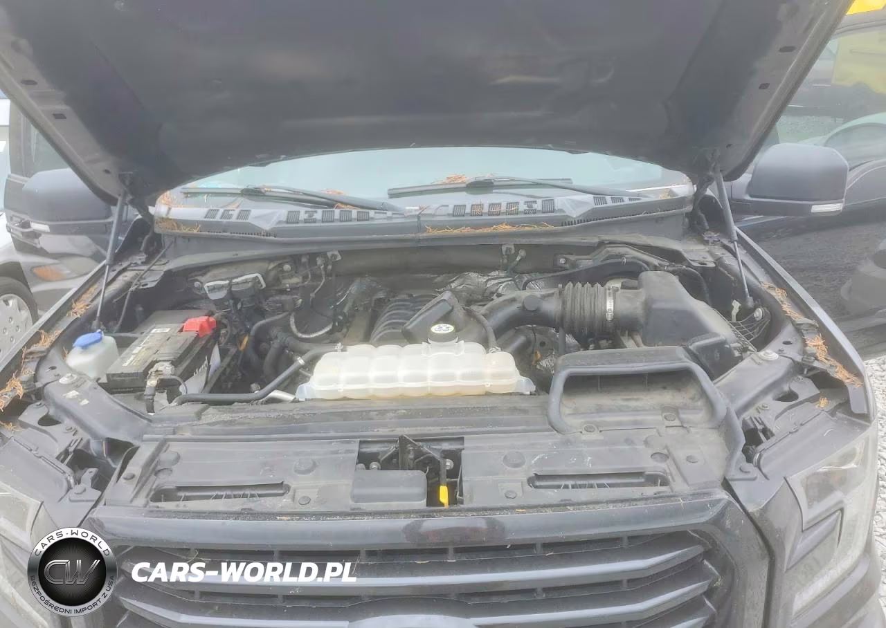 2015 Ford F150 Supercrew VIN:1FTEW1EF8FFA48519 - 11