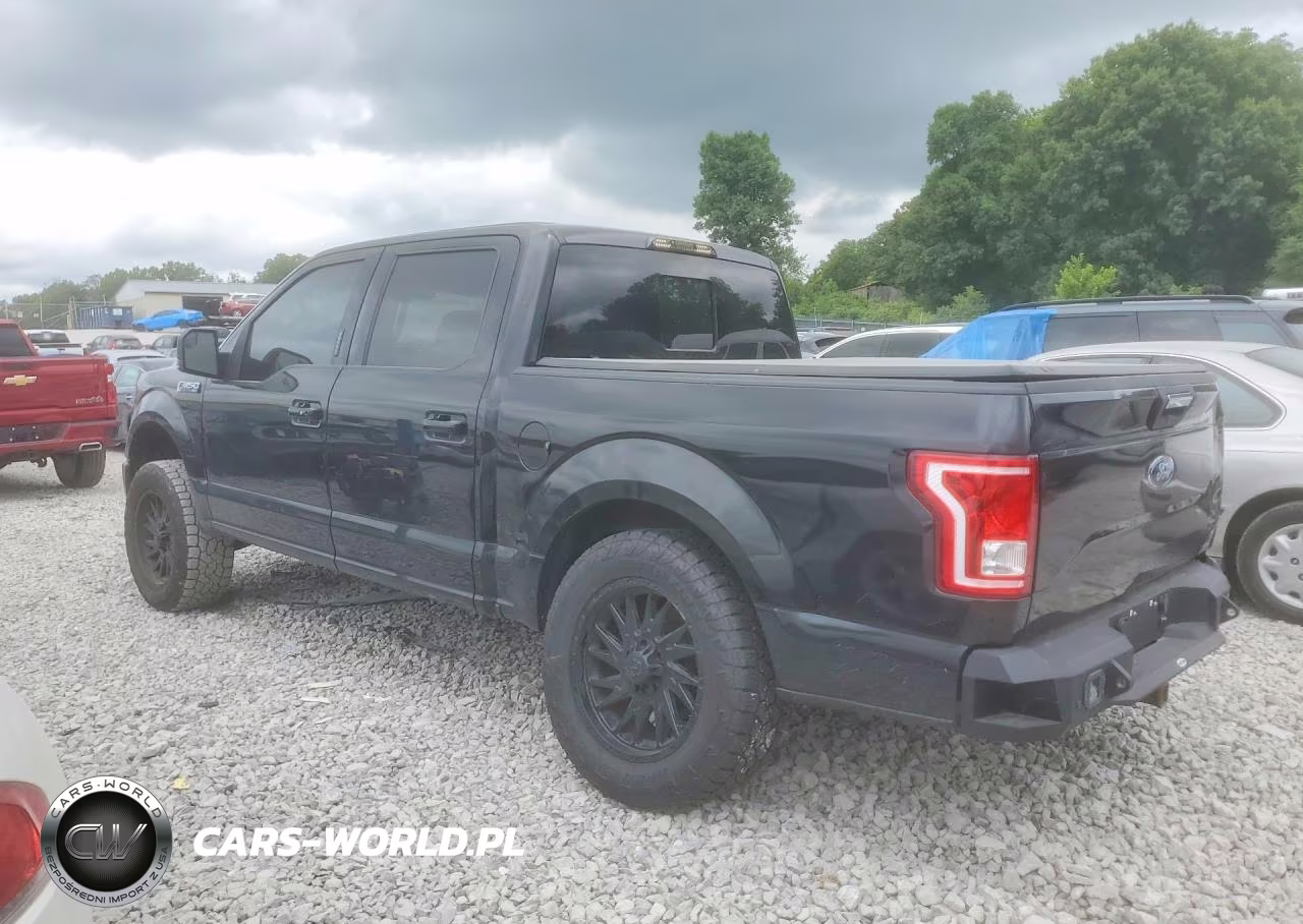 2015 Ford F150 Supercrew VIN:1FTEW1EF8FFA48519 - 2