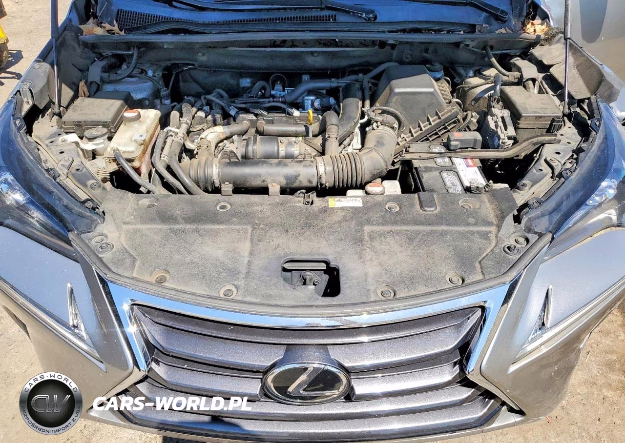 2016 Lexus Nx 200T Base VIN:JTJBARBZ4G2079349 - 12