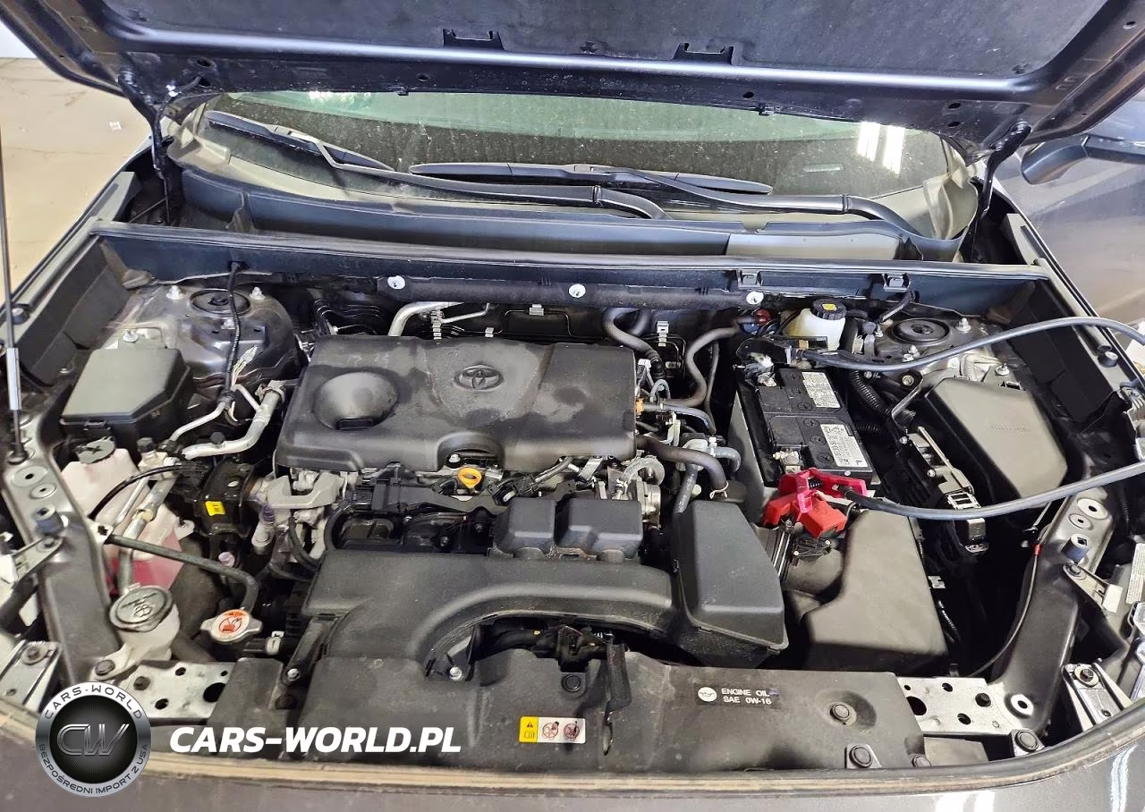 2023 Toyota Rav4 Xle VIN:2T3P1RFV3PW353289 - 12