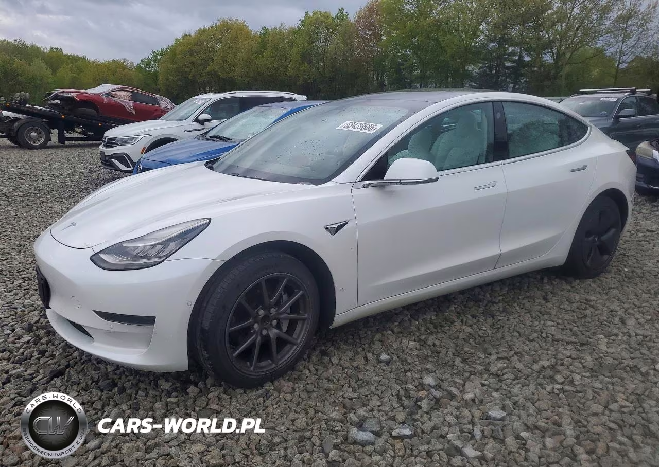2020 Tesla Model 3