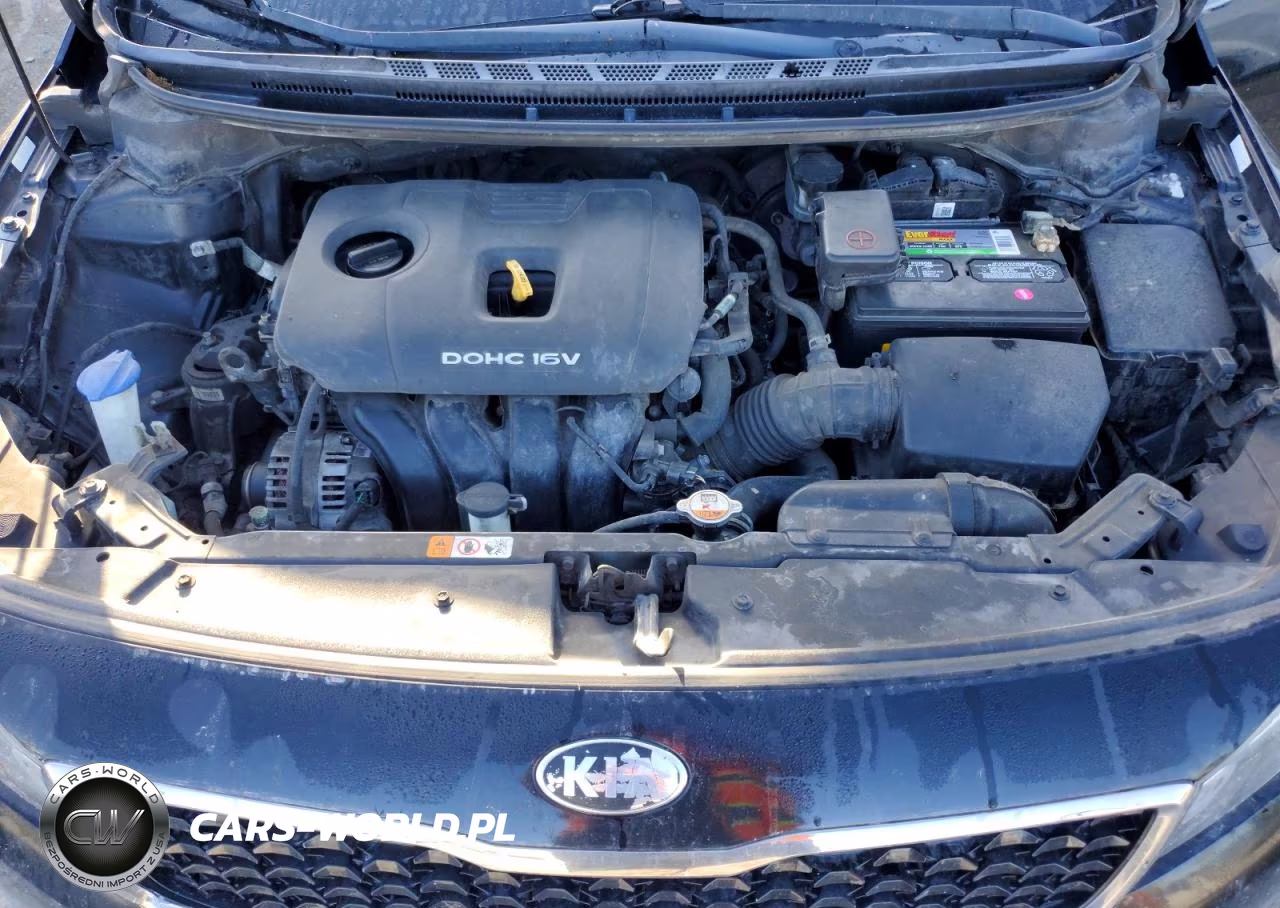 2017 Kia Forte Lx VIN:3KPFK4A70HE119855 - 11