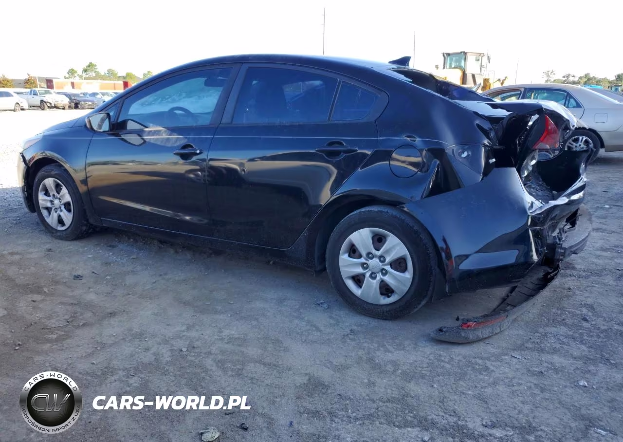 2017 Kia Forte Lx VIN:3KPFK4A70HE119855 - 2