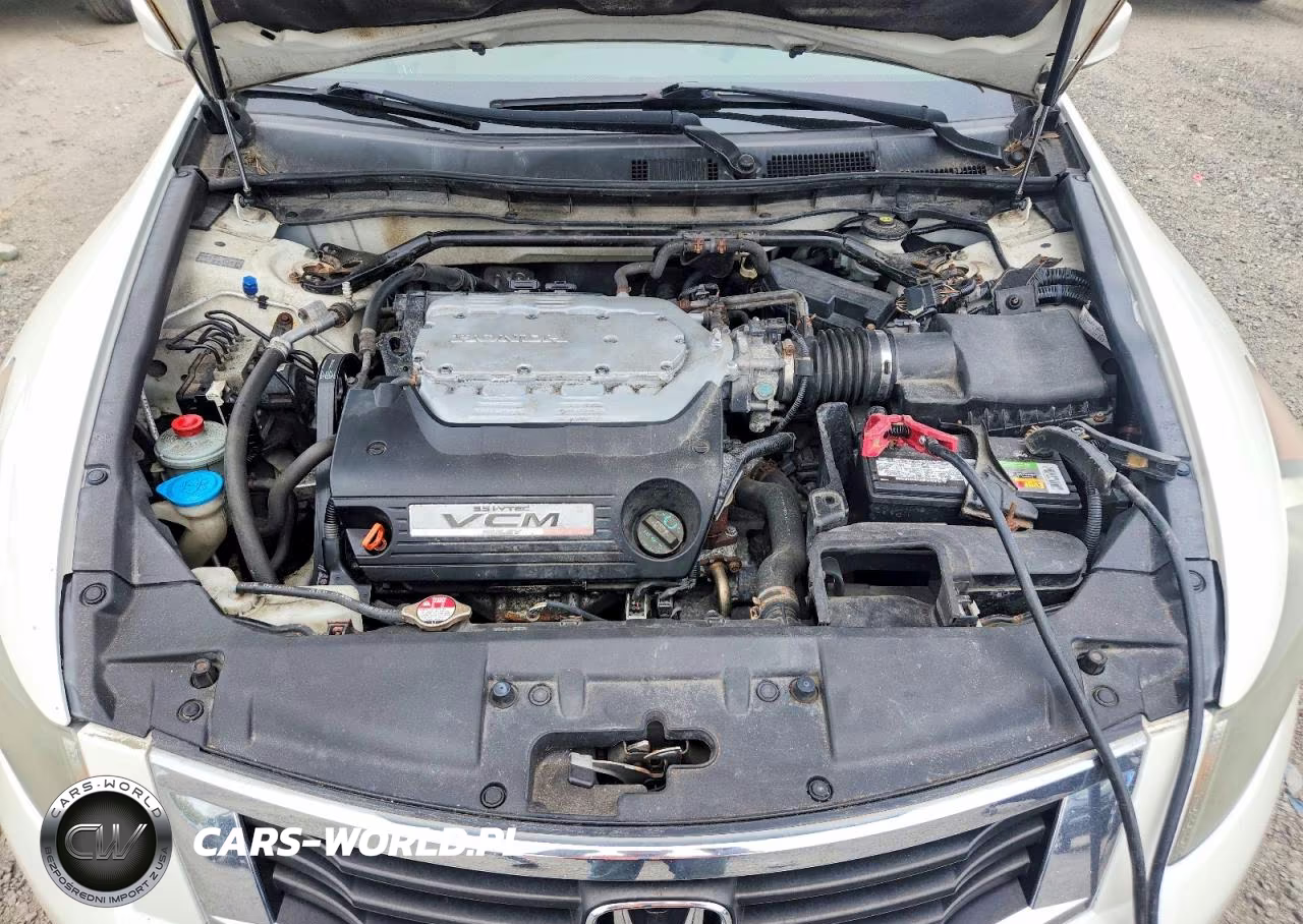 2009 Honda Accord Exl VIN:1HGCP36869A031415 - 11