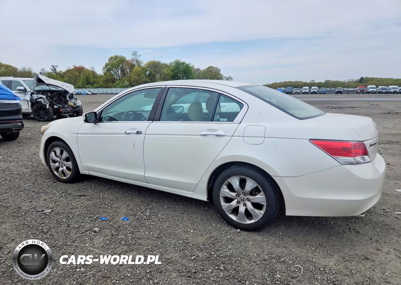 2009 Honda Accord Exl VIN:1HGCP36869A031415 - 2