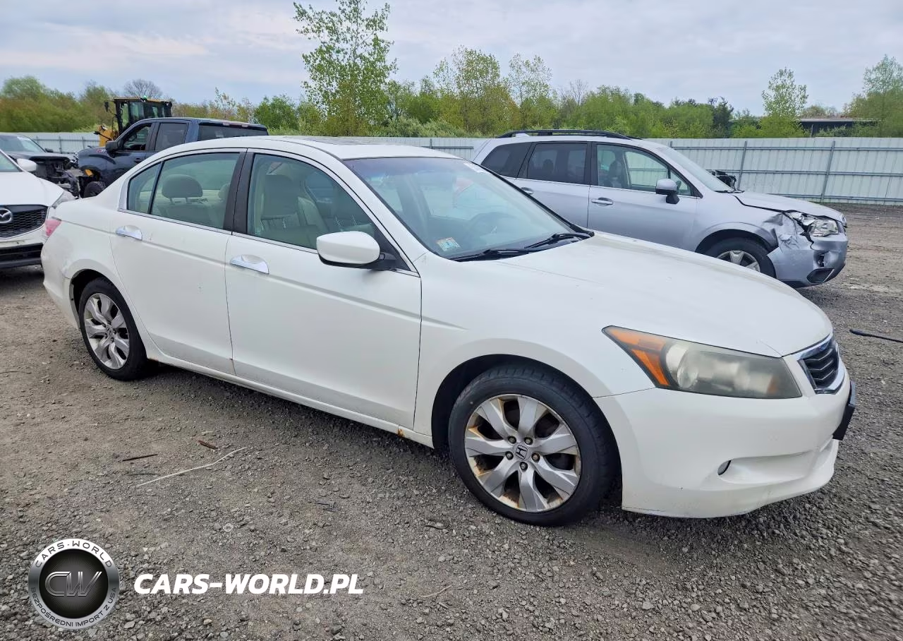 2009 Honda Accord Exl VIN:1HGCP36869A031415 - 4
