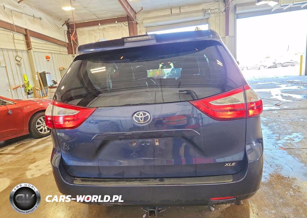 2018 Toyota Sienna Xle 8-Passenger VIN:5TDYZ3DC1JS915999 - 6