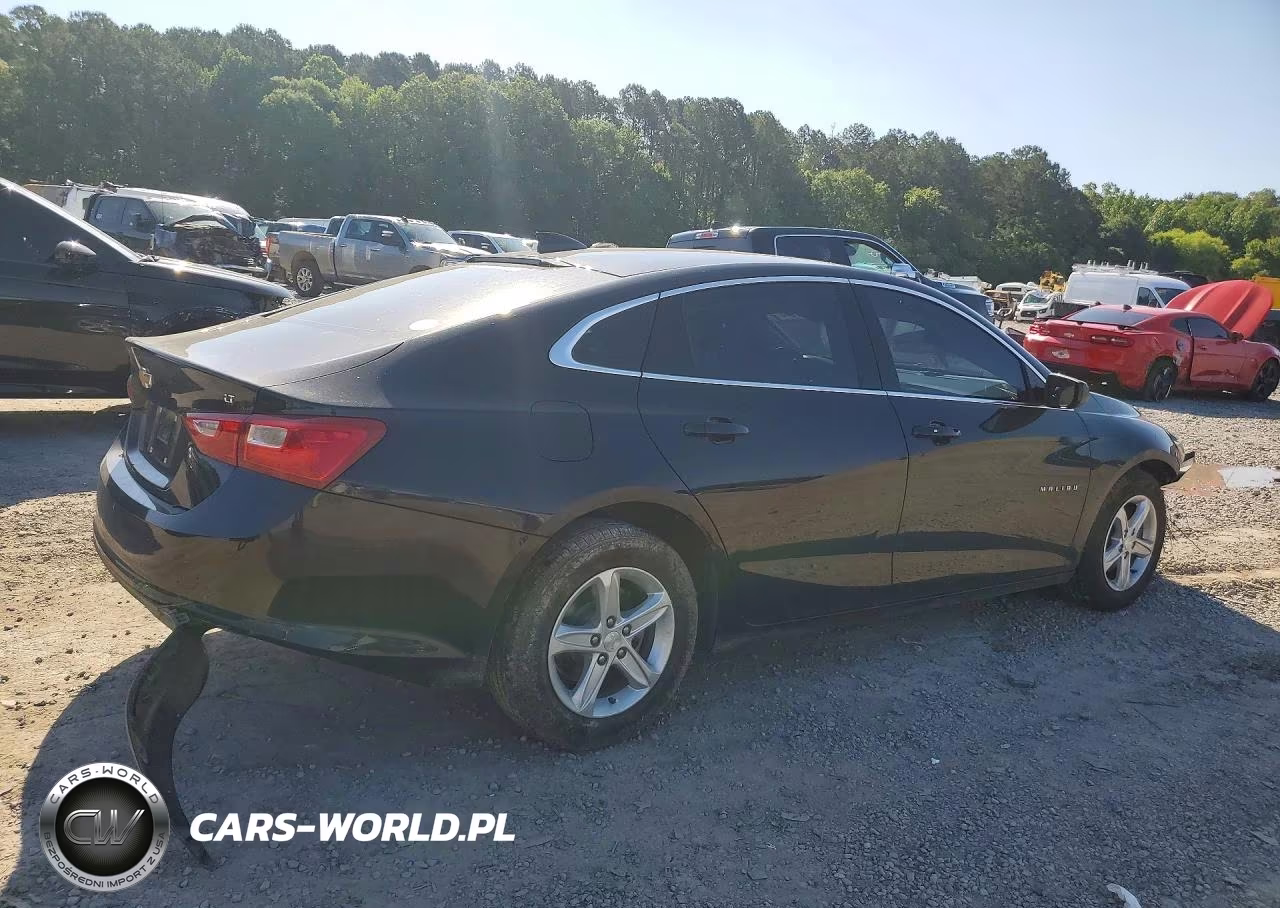 2023 Chevrolet Malibu Lt VIN:1G1ZD5ST0PF213837 - 3