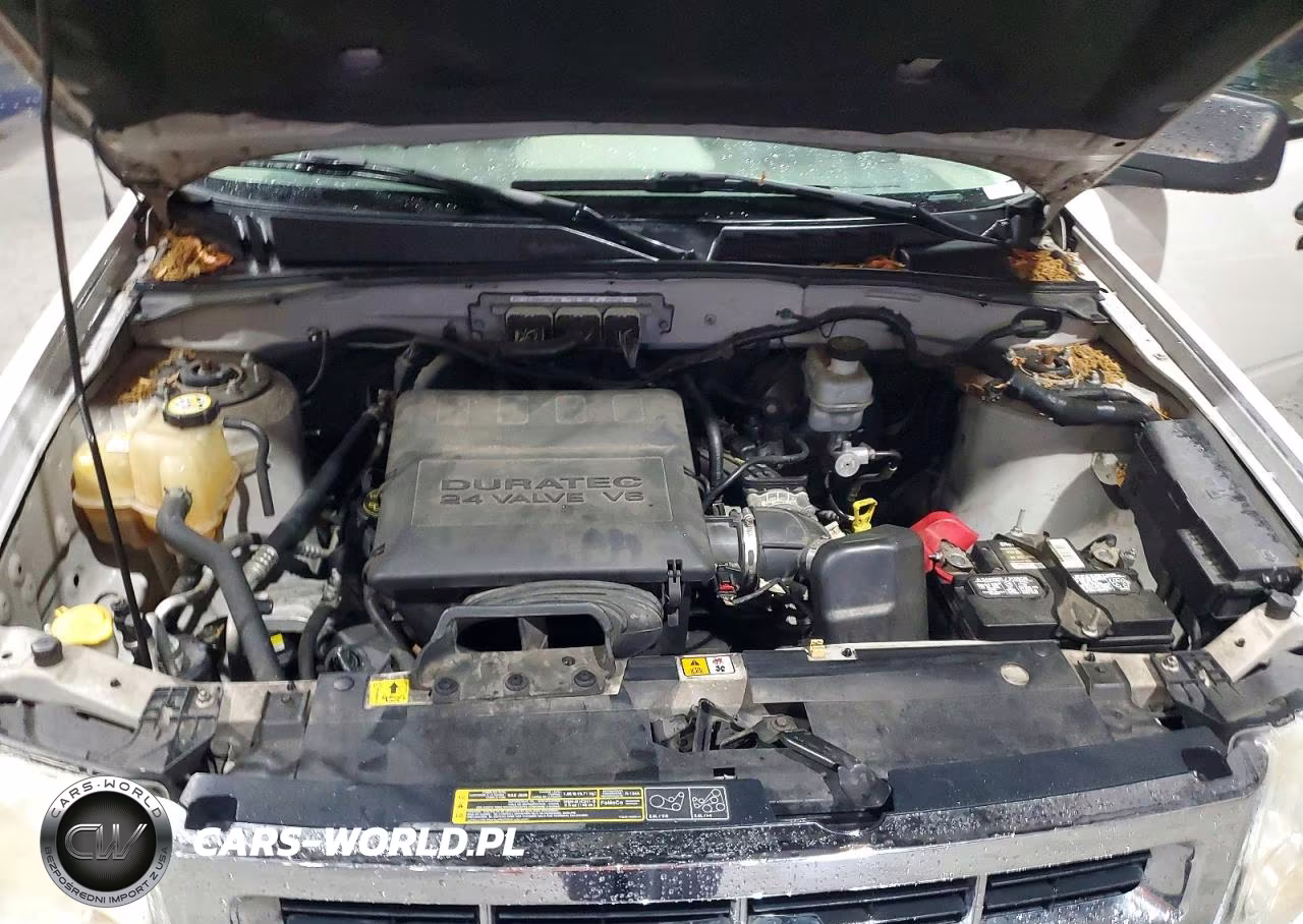 2010 Ford Escape Xlt VIN:1FMCU0DG9AKC68846 - 12