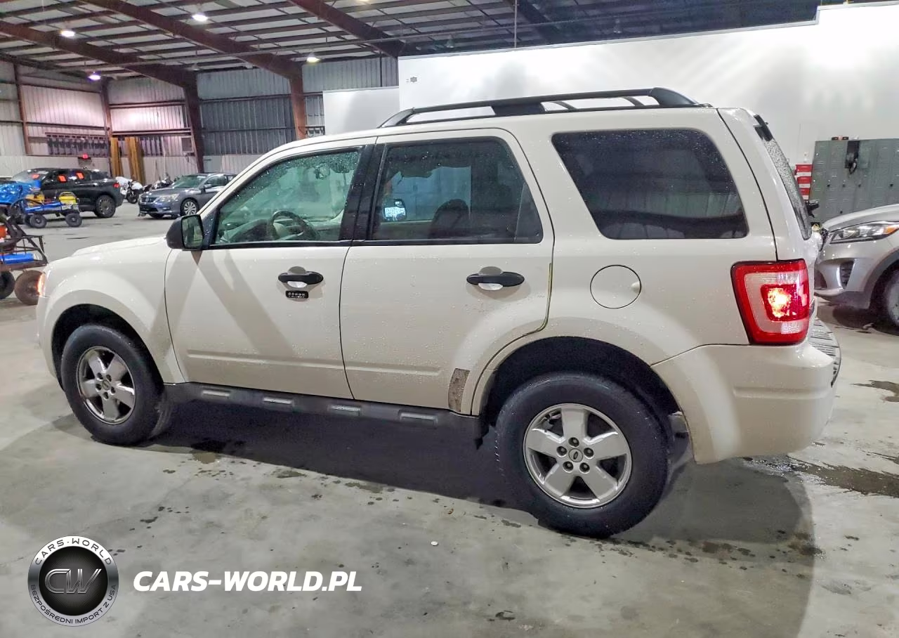 2010 Ford Escape Xlt VIN:1FMCU0DG9AKC68846 - 2
