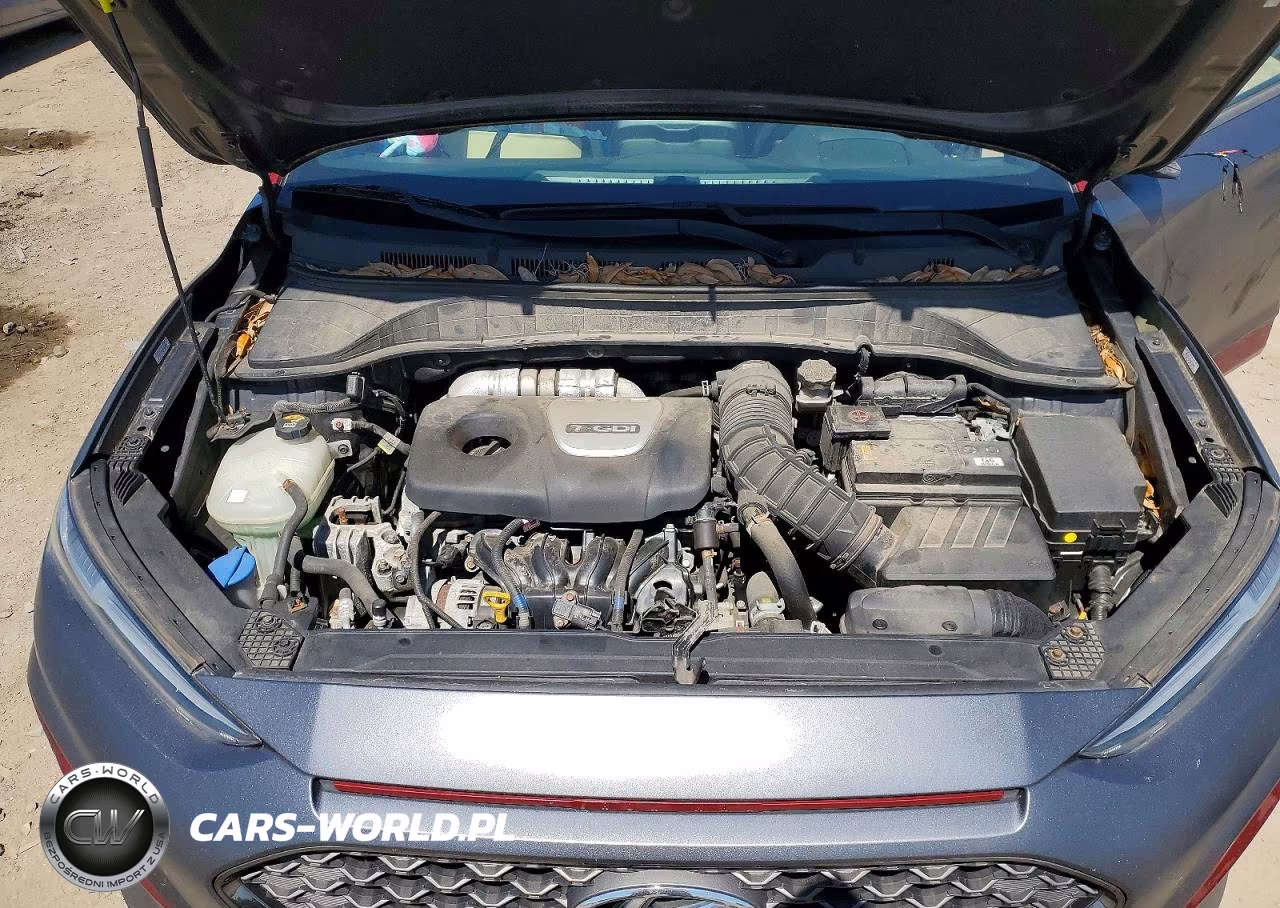 2019 Hyundai Kona Ultimate VIN:KM8K5CA57KU312412 - 12