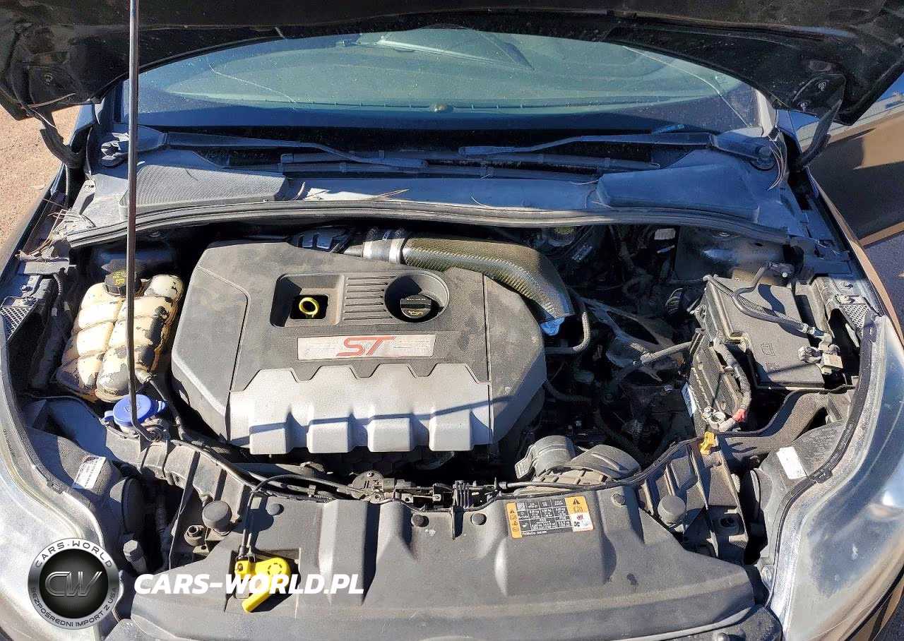 2014 Ford Focus St VIN:1FADP3L9XEL441297 - 11