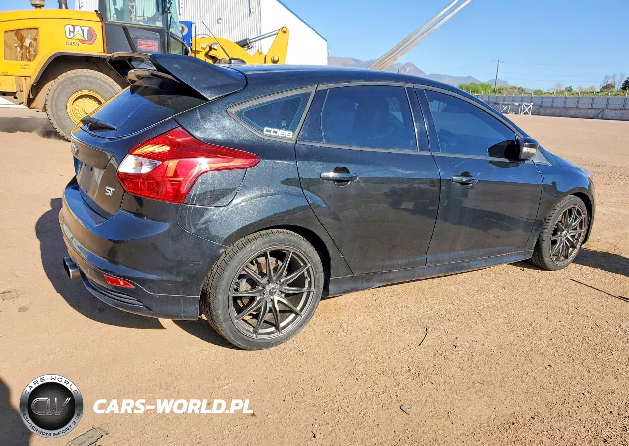 2014 Ford Focus St VIN:1FADP3L9XEL441297 - 3