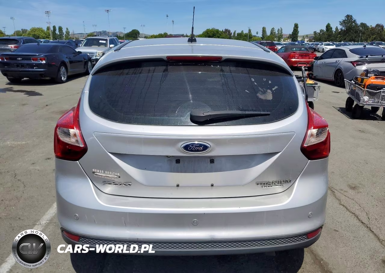 2013 Ford Focus Titanium VIN:1FADP3N24DL379216 - 6