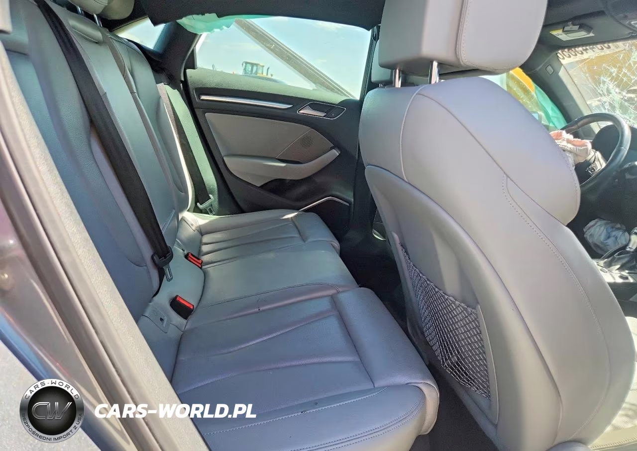 2018 Audi A3 Premium Plus VIN:WAUJ8GFF6J1080124 - 10