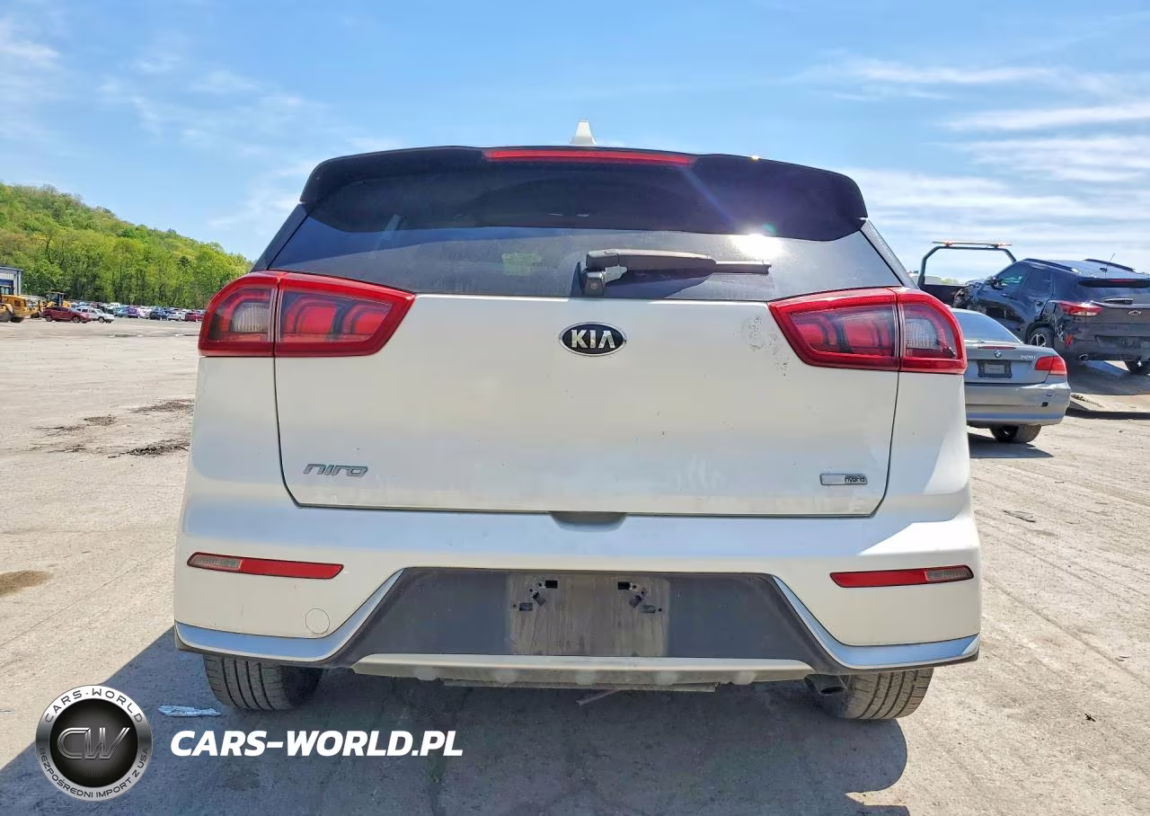 2017 Kia Niro Ex VIN:KNDCC3LC7H5051294 - 6