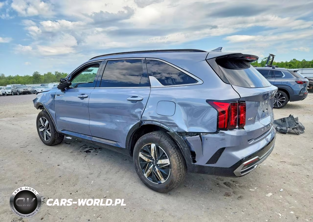 2021 Kia Sorento Ex VIN:5XYRHDLF6MG062946 - 2