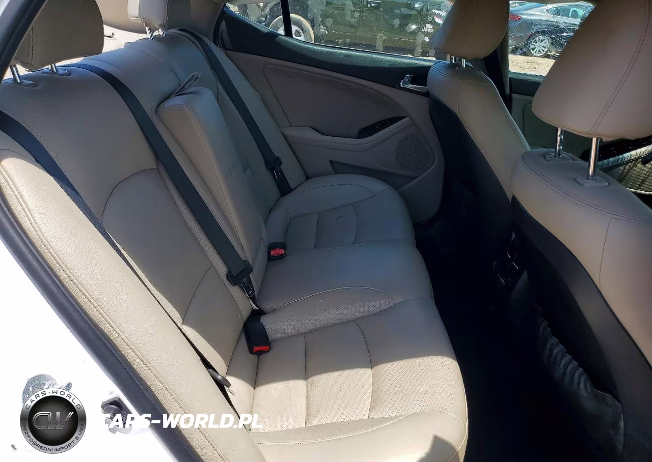 2014 Kia Optima Ex VIN:5XXGN4A7XEG260771 - 10