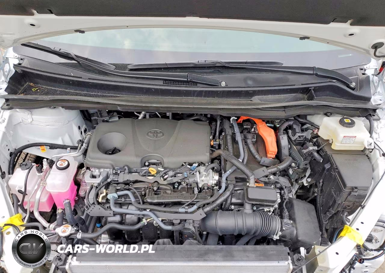 2025 Toyota Sienna Xle 7-Passenger VIN:5TDJSKFC5SS190194 - 12