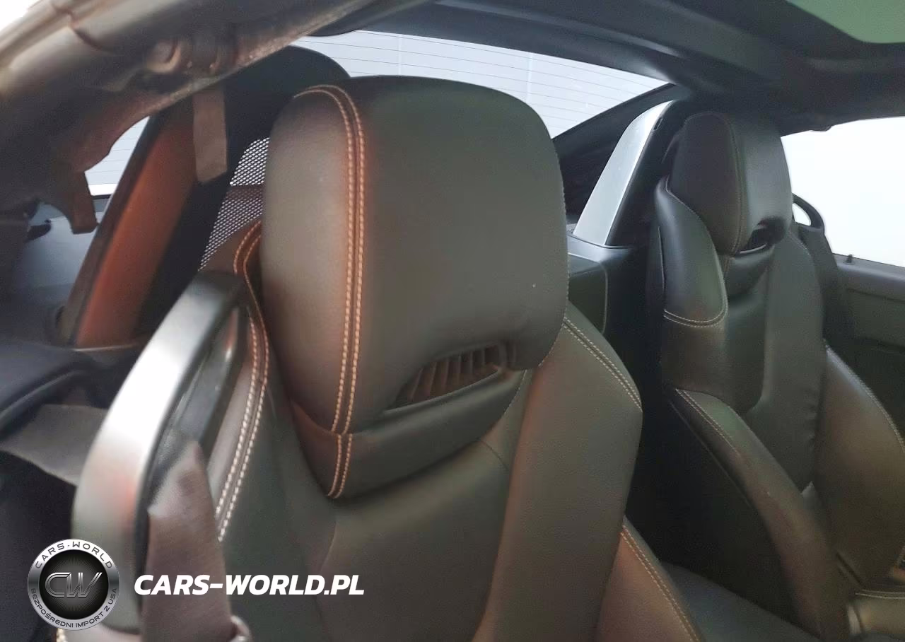 2015 Mercedes-Benz Slk 250 VIN:WDDPK4HA1FF099369 - 10