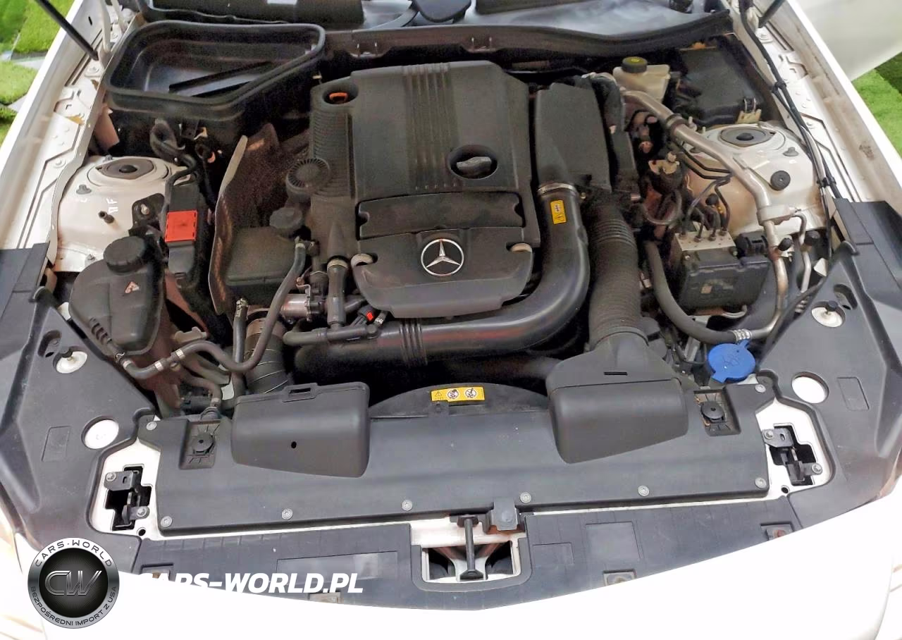 2015 Mercedes-Benz Slk 250 VIN:WDDPK4HA1FF099369 - 11