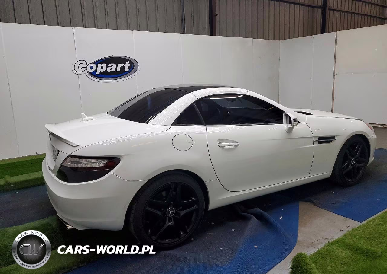 2015 Mercedes-Benz Slk 250 VIN:WDDPK4HA1FF099369 - 3