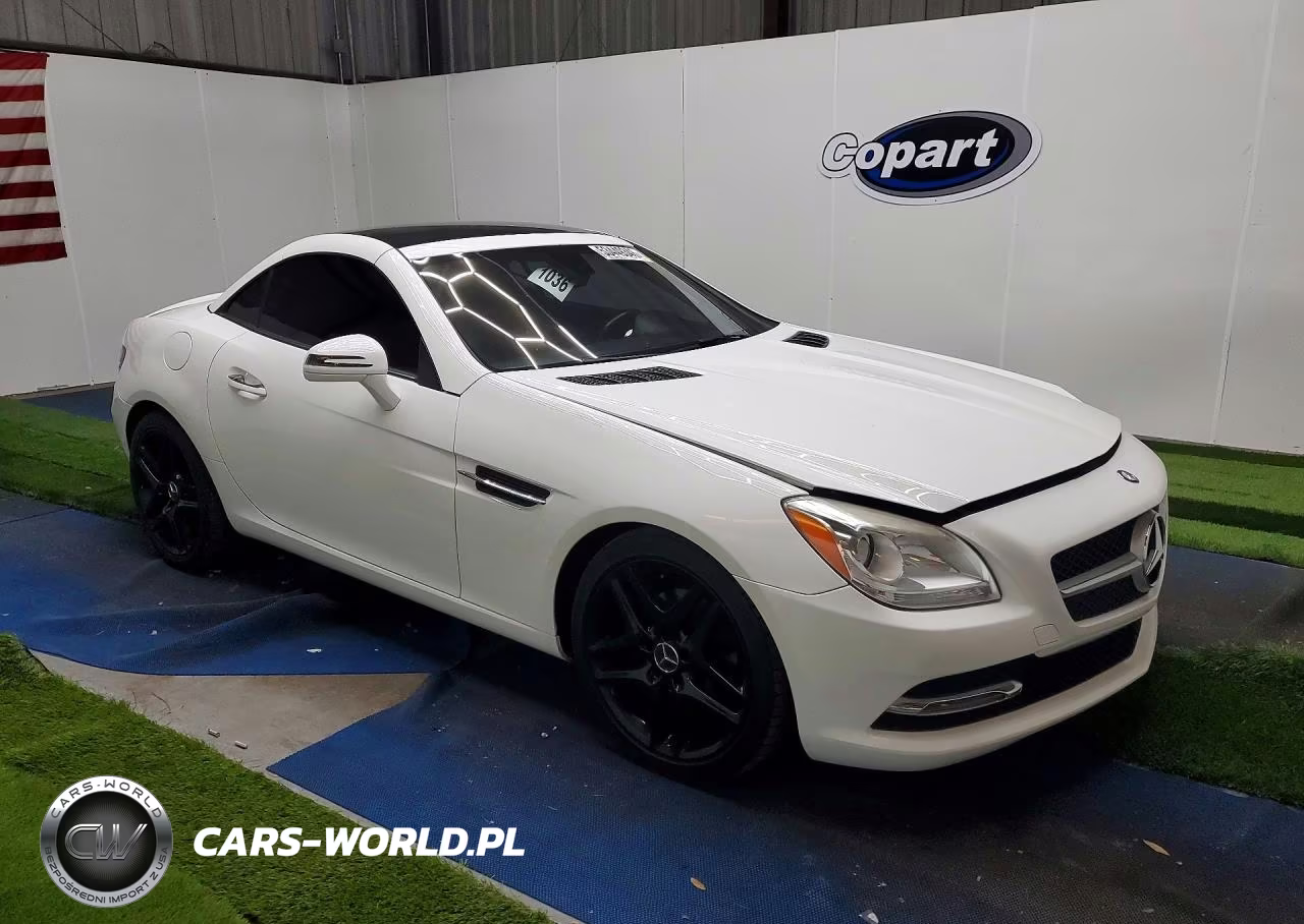 2015 Mercedes-Benz Slk 250 VIN:WDDPK4HA1FF099369 - 4