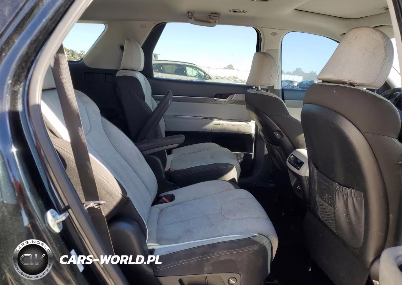 2020 Hyundai Palisade Sel VIN:KM8R24HEXLU104755 - 11