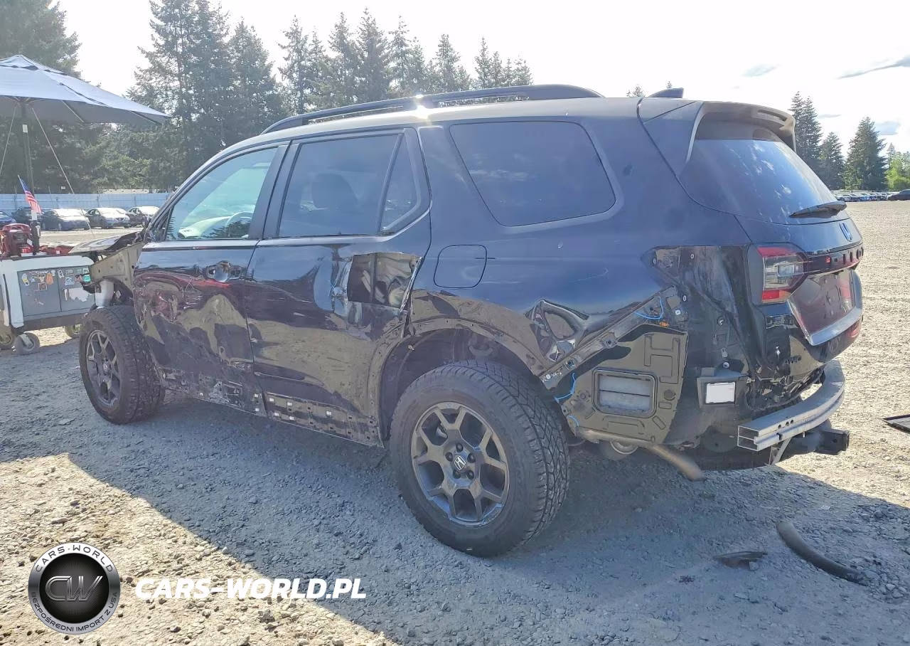 2025 Honda Pilot Trailsport VIN:5FNYG1H63SB046343 - 2