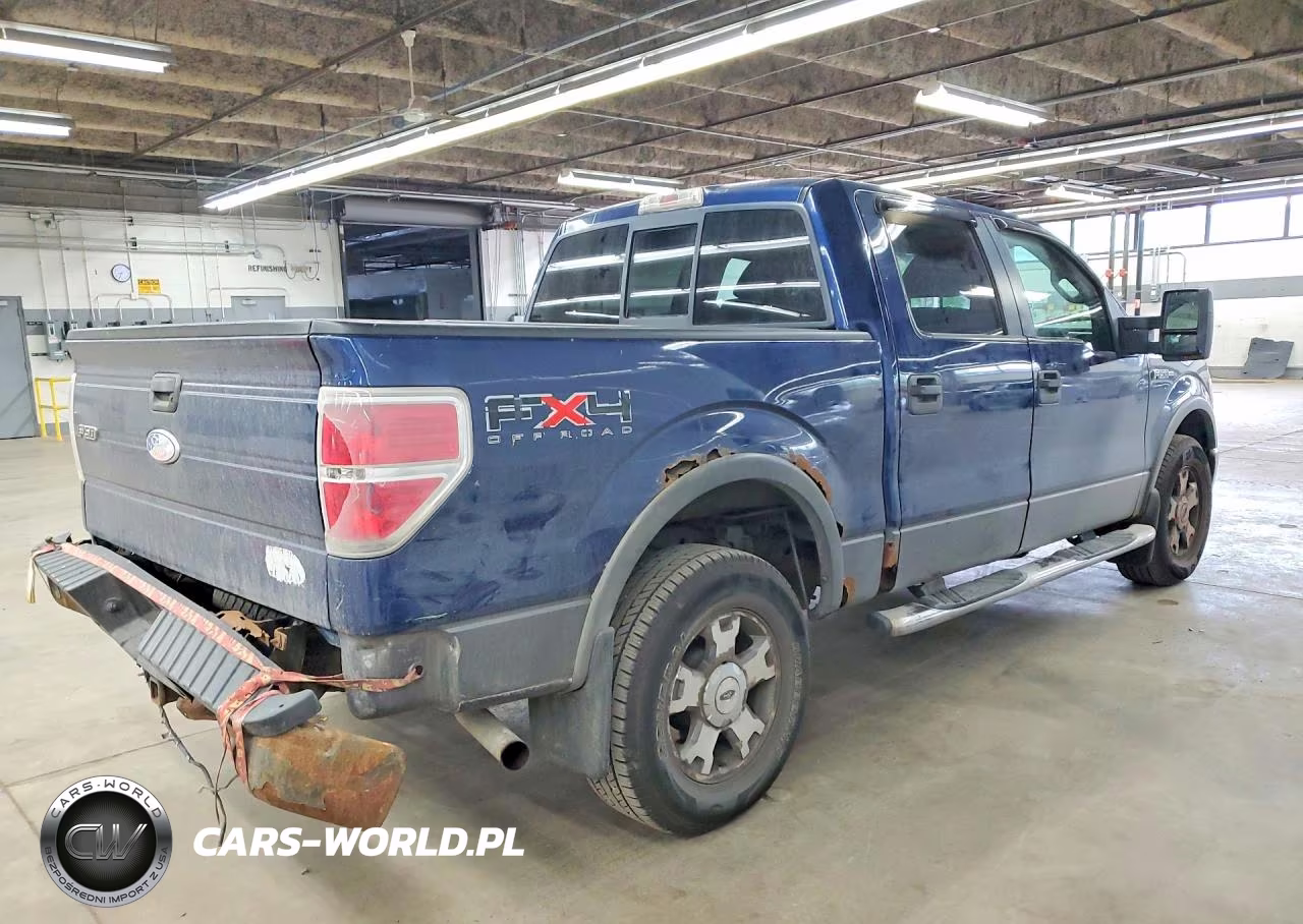 2009 Ford F150 Supercrew VIN:1FTPW14V49FA78736 - 3