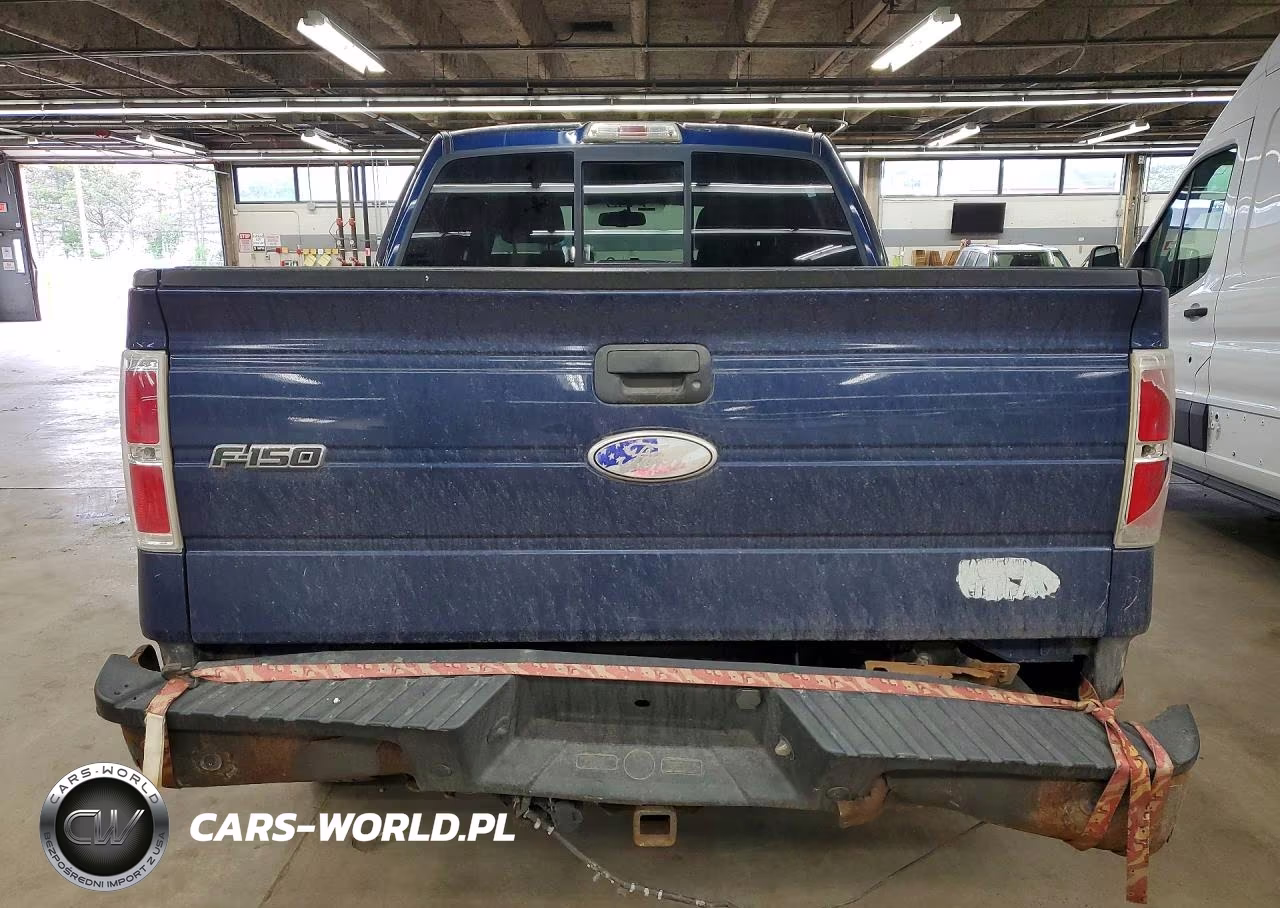 2009 Ford F150 Supercrew VIN:1FTPW14V49FA78736 - 6