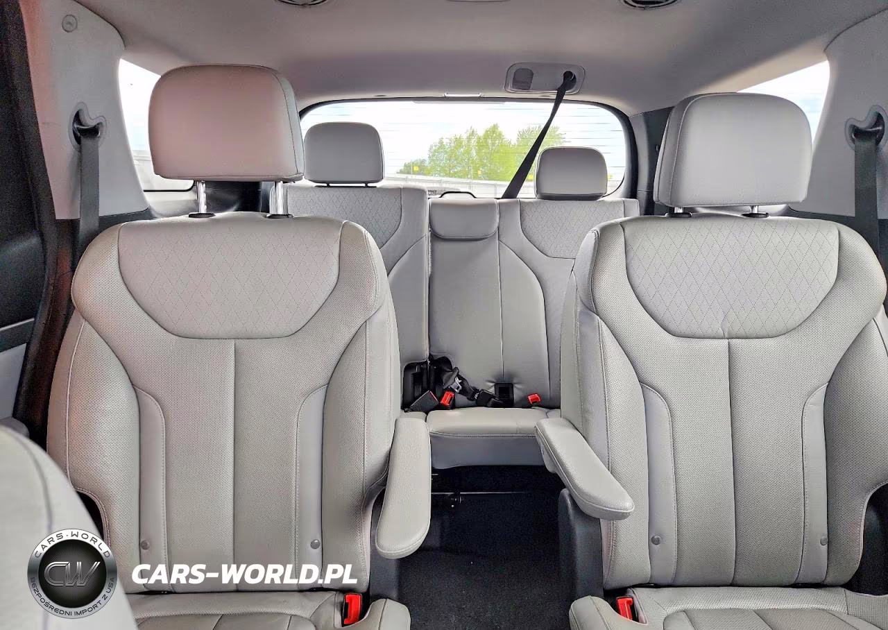 2020 Hyundai Palisade Sel VIN:KM8R44HE5LU102678 - 10