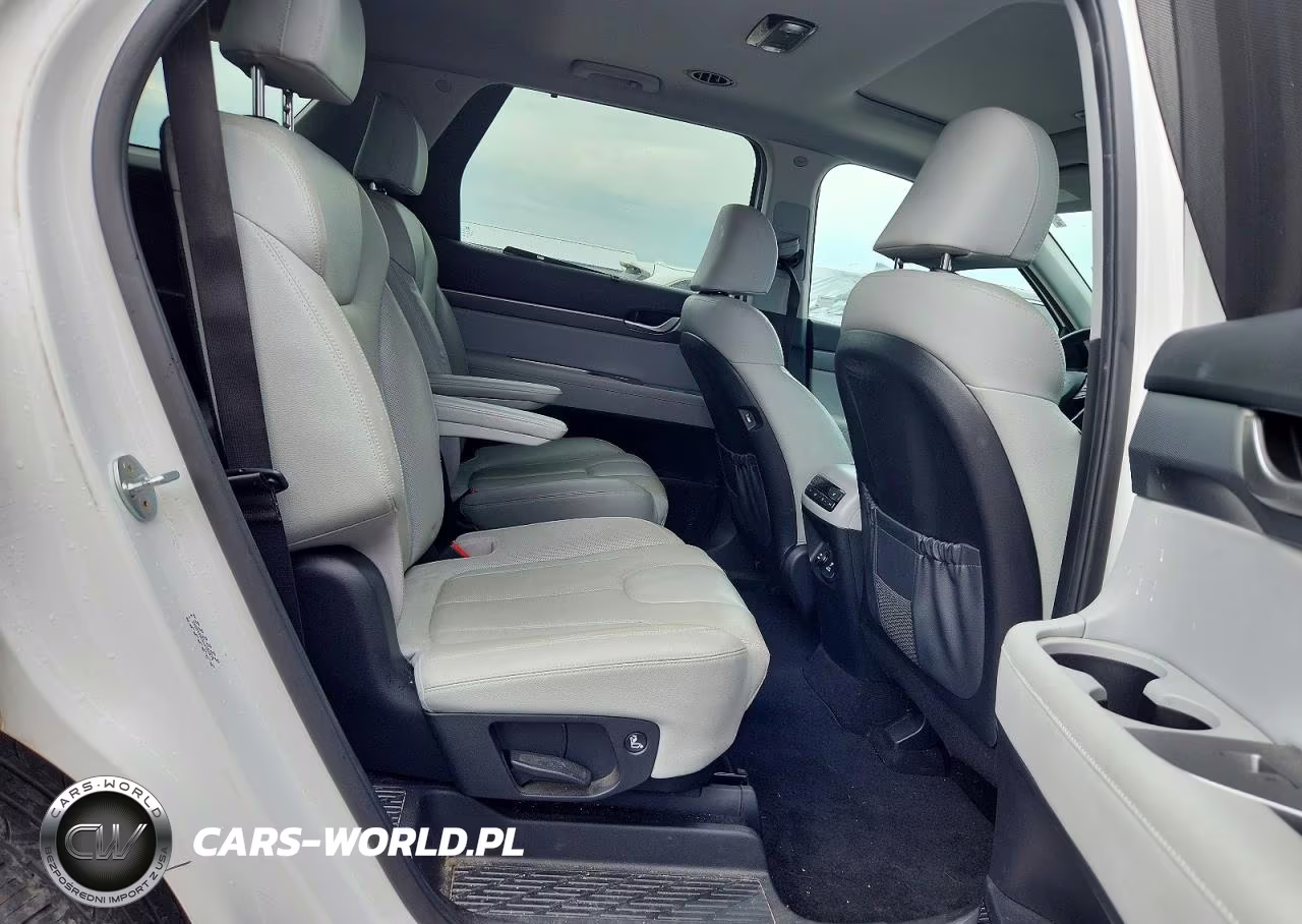 2020 Hyundai Palisade Sel VIN:KM8R44HE5LU102678 - 11