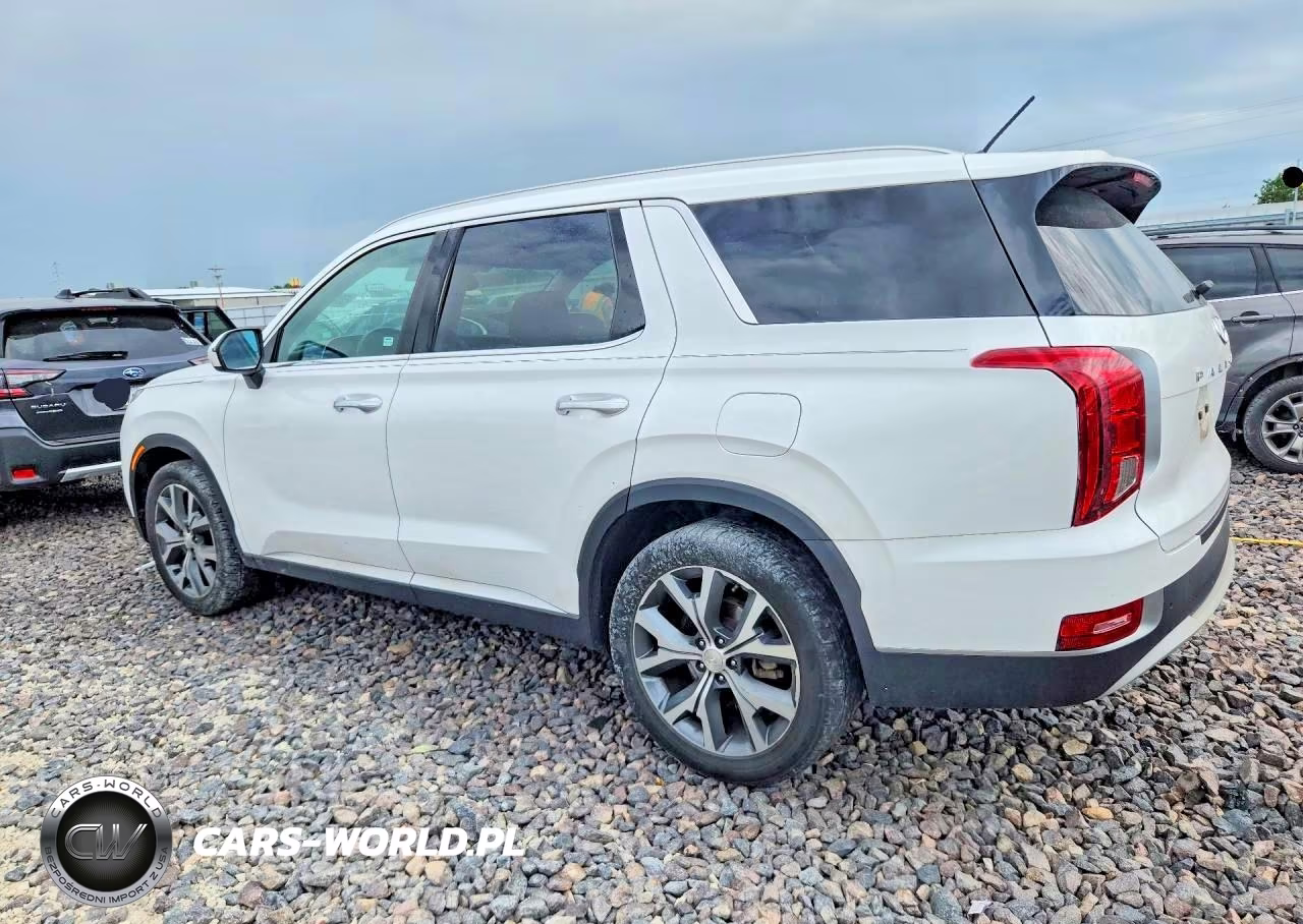 2020 Hyundai Palisade Sel VIN:KM8R44HE5LU102678 - 2