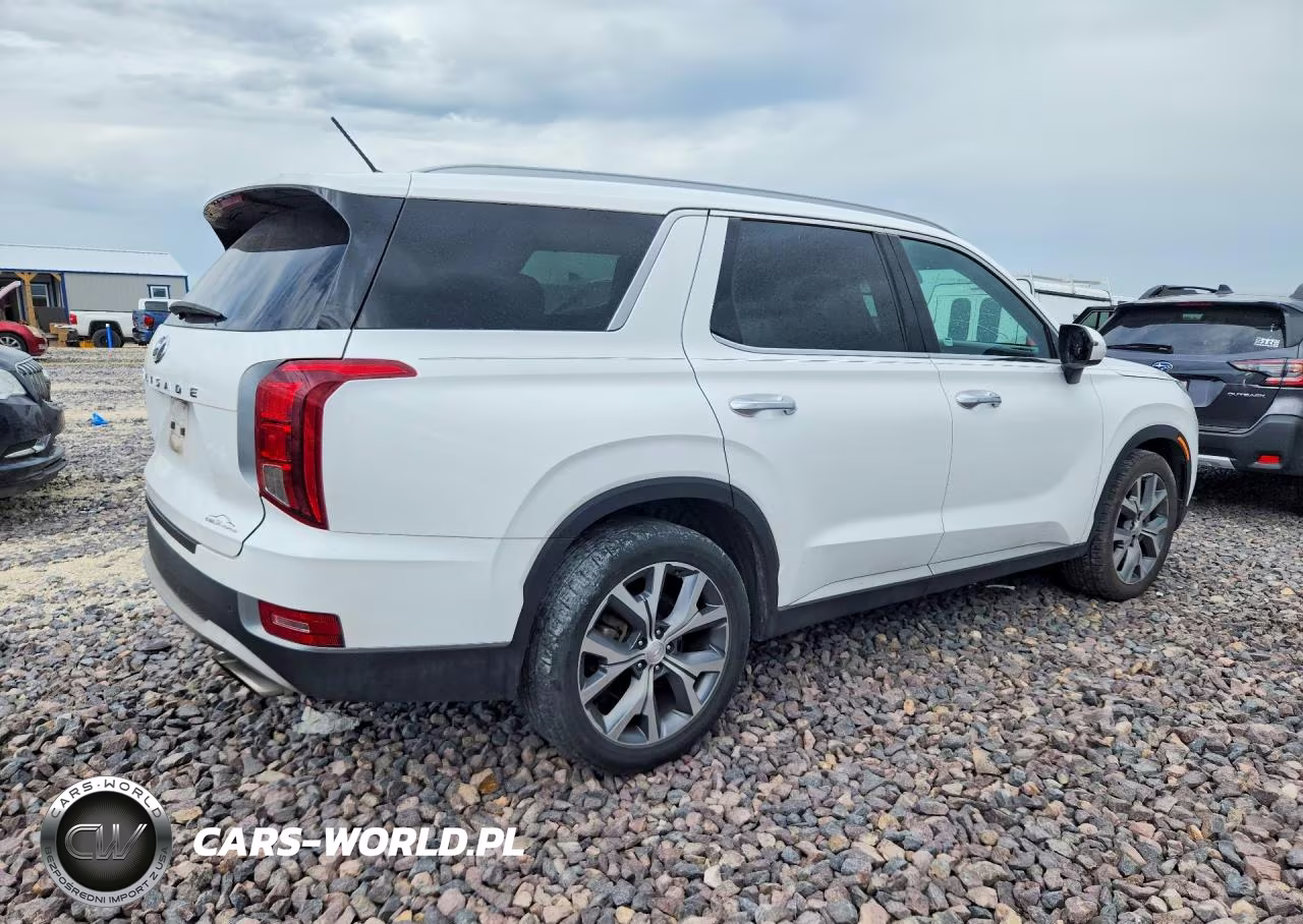 2020 Hyundai Palisade Sel VIN:KM8R44HE5LU102678 - 3