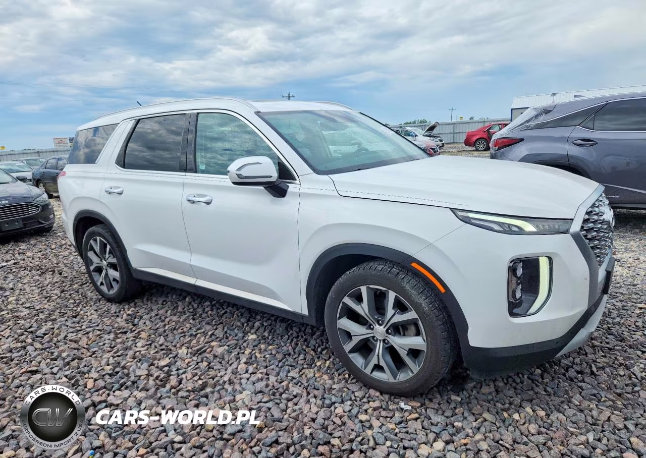 2020 Hyundai Palisade Sel VIN:KM8R44HE5LU102678 - 4