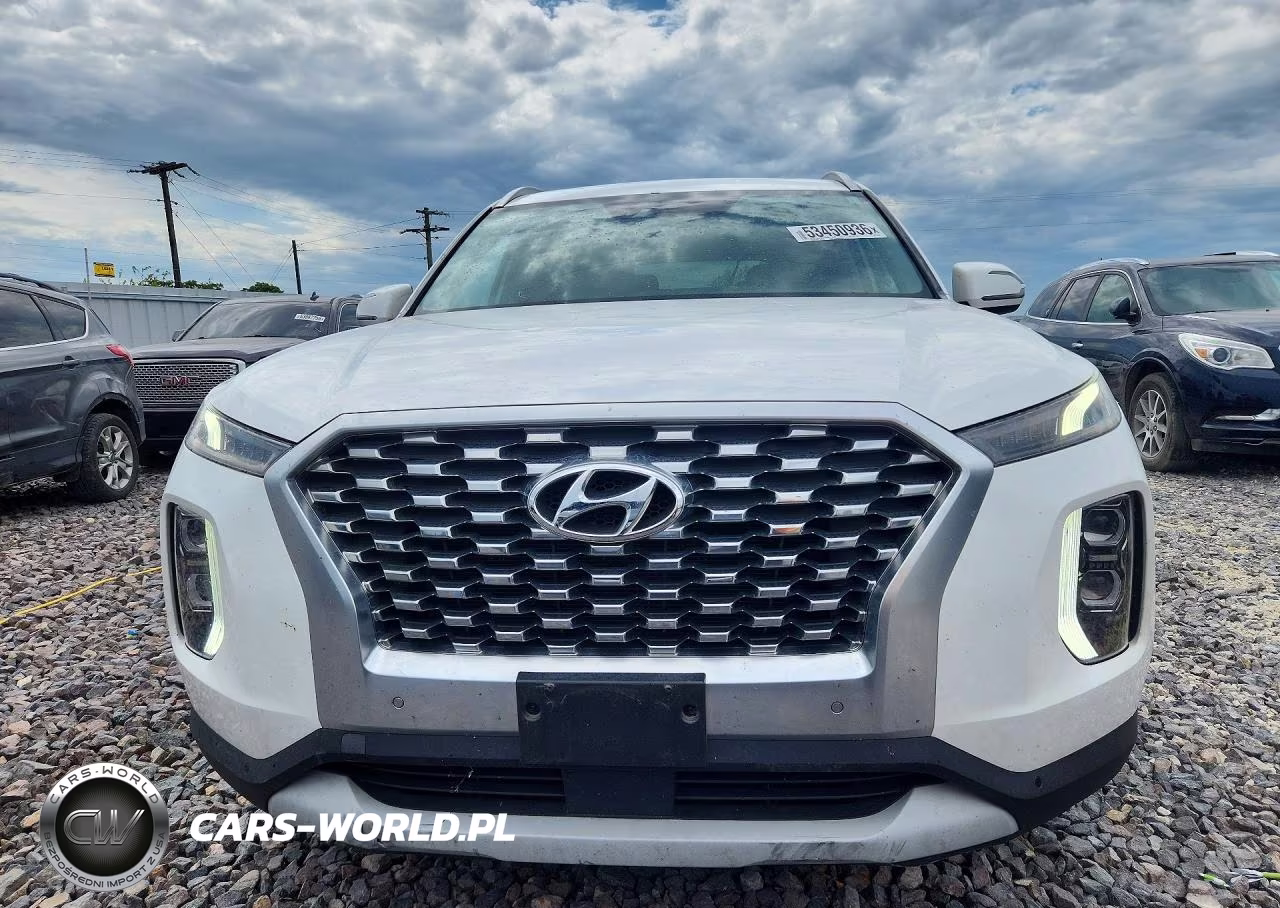 2020 Hyundai Palisade Sel VIN:KM8R44HE5LU102678 - 5