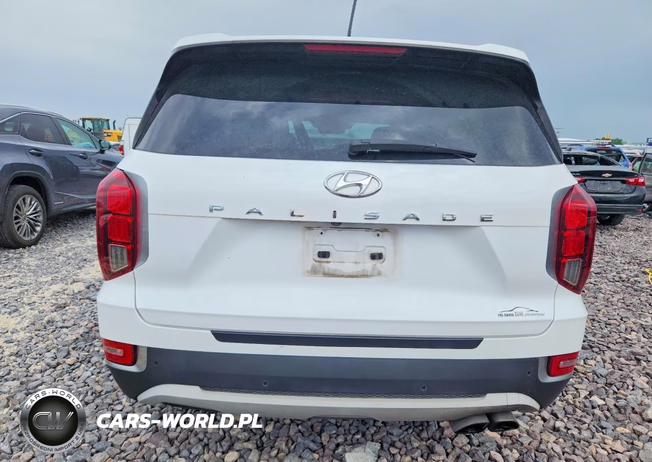 2020 Hyundai Palisade Sel VIN:KM8R44HE5LU102678 - 6