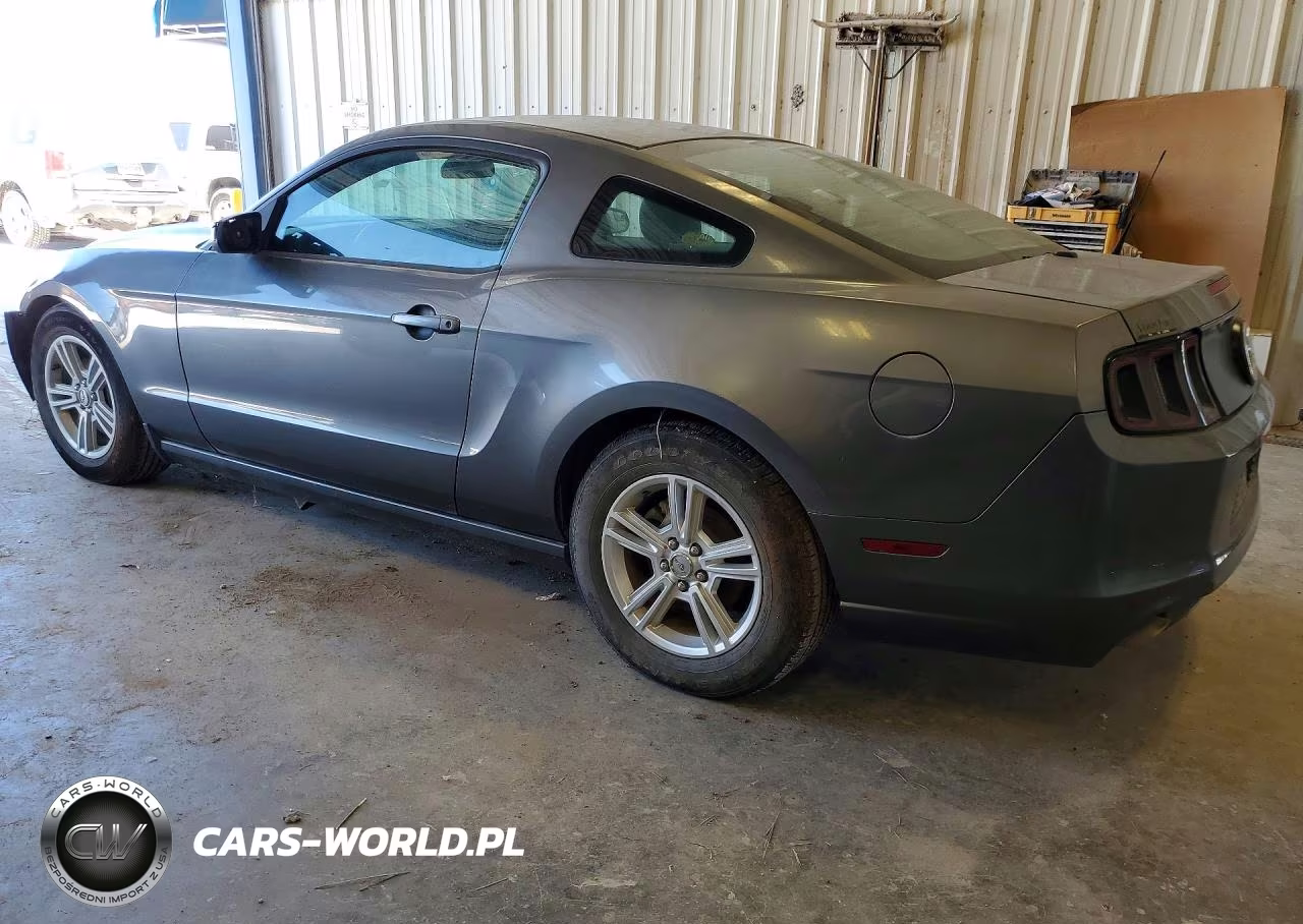 2014 Ford Mustang VIN:1ZVBP8AM6E5231335 - 2