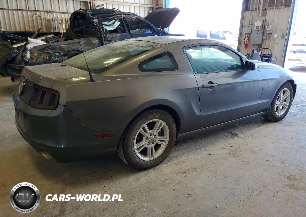 2014 Ford Mustang VIN:1ZVBP8AM6E5231335 - 3