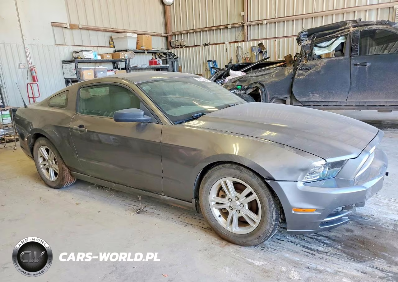 2014 Ford Mustang VIN:1ZVBP8AM6E5231335 - 4