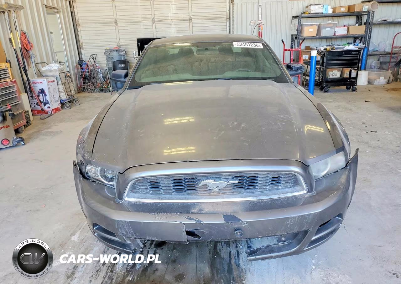 2014 Ford Mustang VIN:1ZVBP8AM6E5231335 - 5