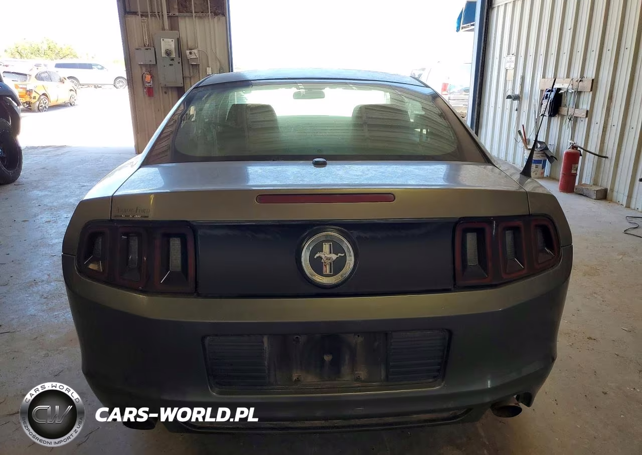 2014 Ford Mustang VIN:1ZVBP8AM6E5231335 - 6