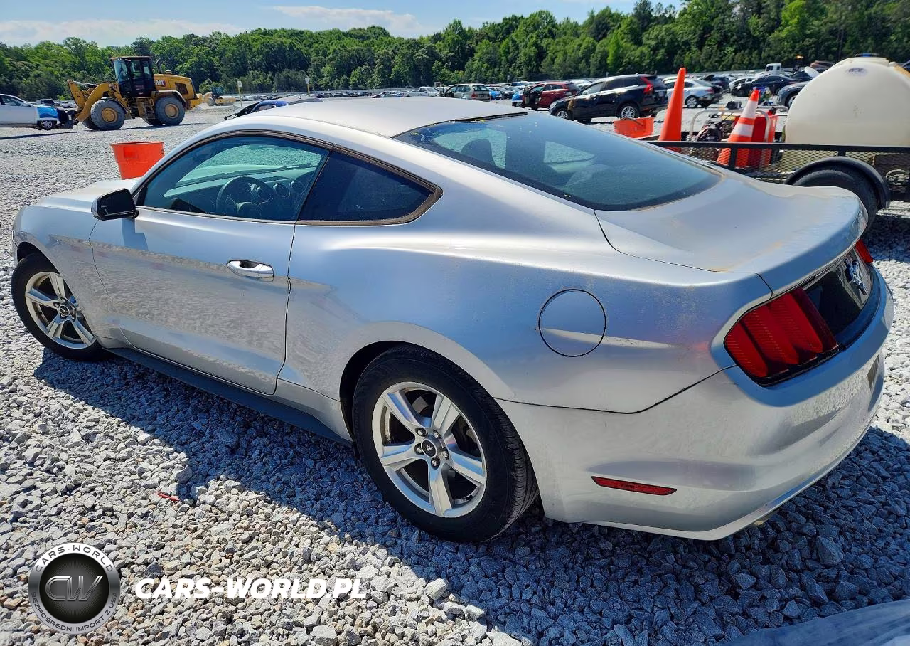 2015 Ford Mustang VIN:1FA6P8AM9F5328590 - 2