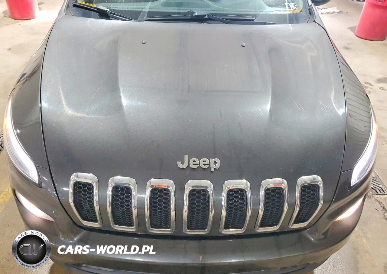 2014 Jeep Cherokee Latitude VIN:1C4PJMCS3EW226652 - 12