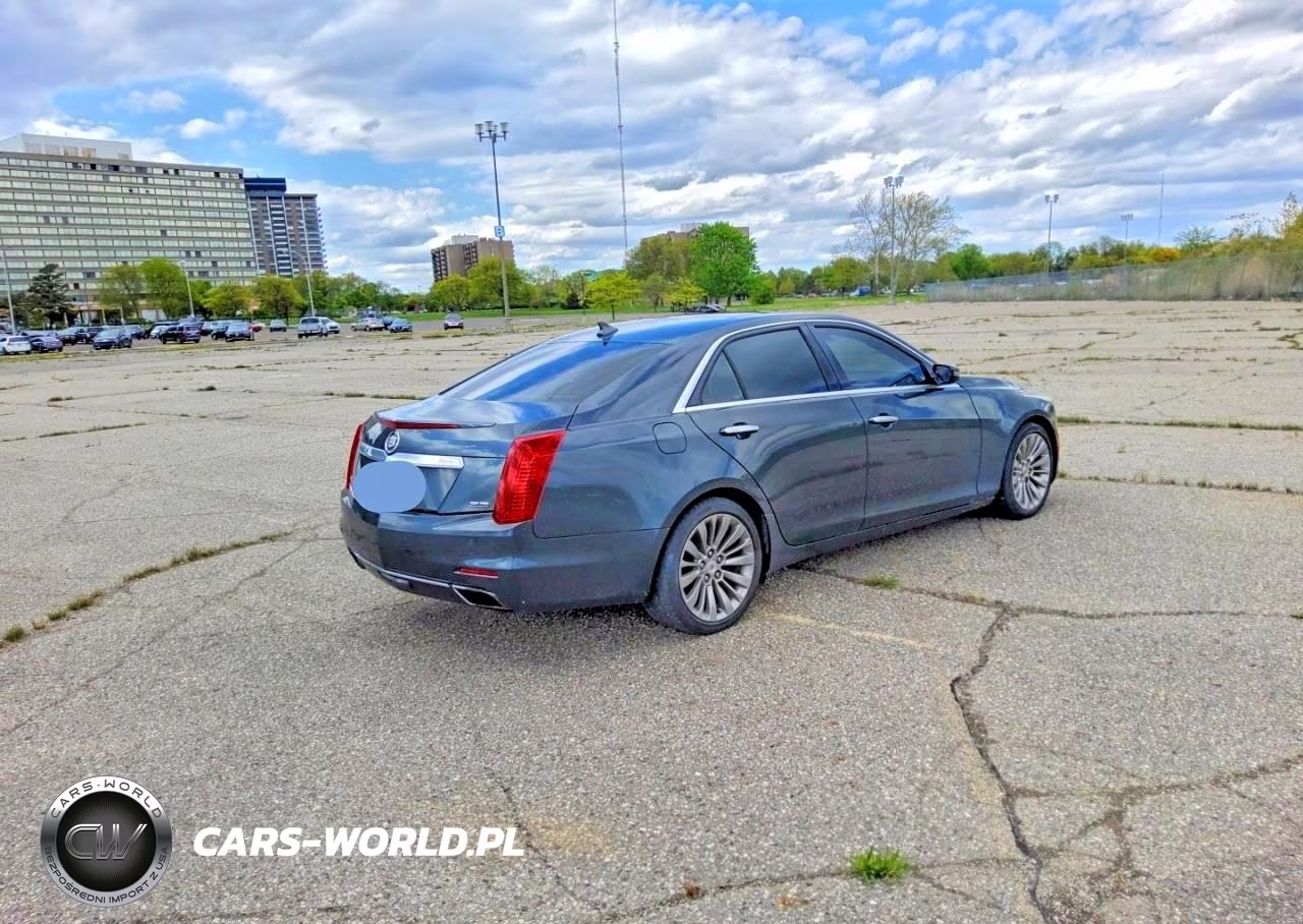 2014 CADILLAC CTS LUXURY COLLECTION VIN:1G6AX5S31E0156448 - 4