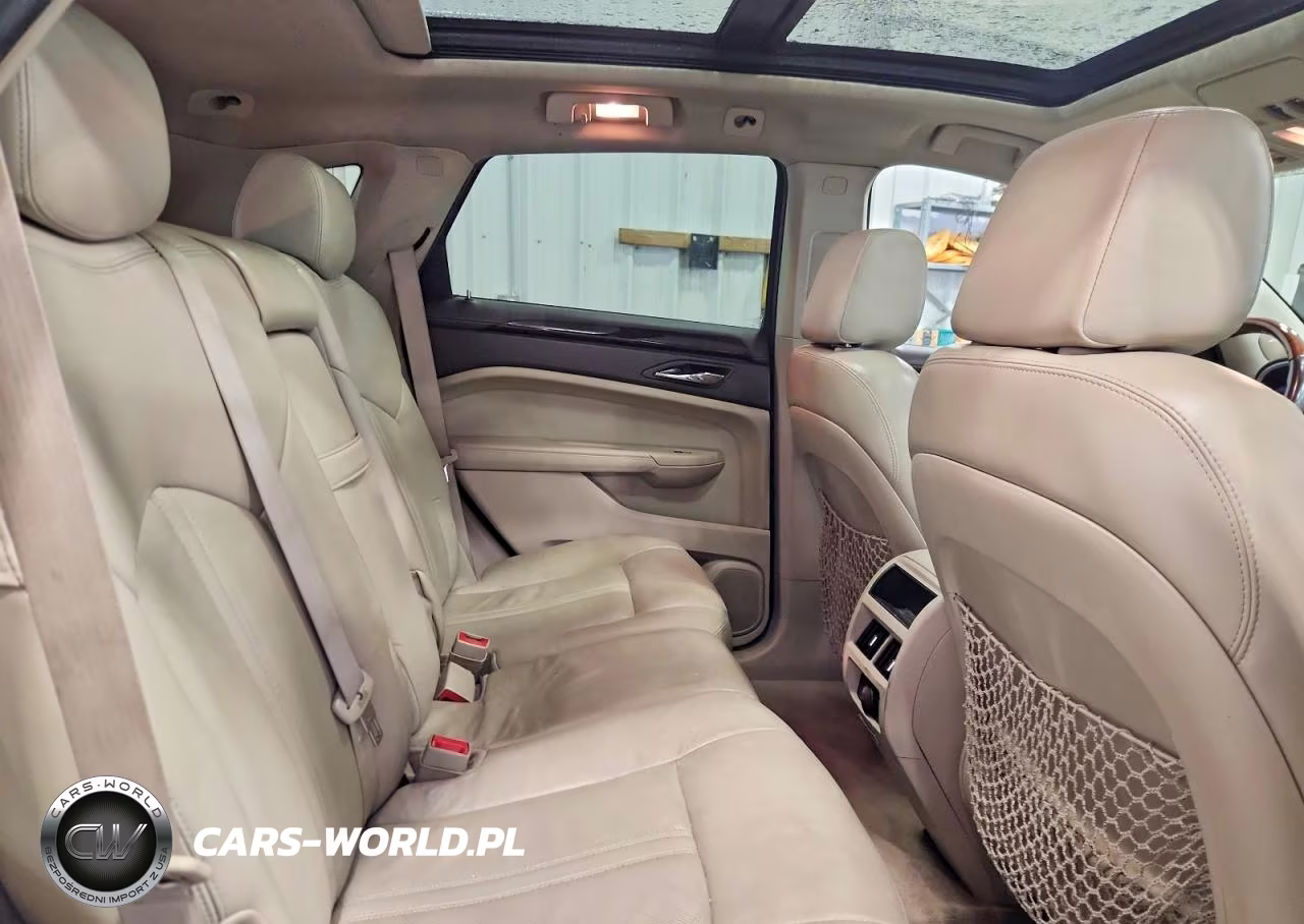 2010 Cadillac Srx Luxury Collection VIN:3GYFNDEY4AS650925 - 11