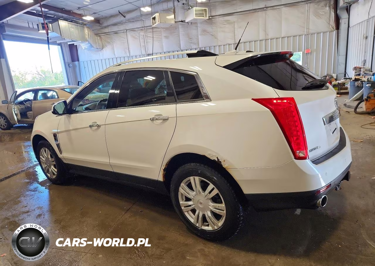 2010 Cadillac Srx Luxury Collection VIN:3GYFNDEY4AS650925 - 2